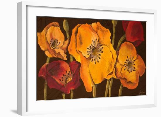 Dazzling Poppies II (Black)-Josefina-Framed Art Print