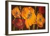 Dazzling Poppies II (Black)-Josefina-Framed Art Print