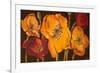 Dazzling Poppies II (Black)-Josefina-Framed Premium Giclee Print