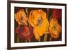 Dazzling Poppies II (Black)-Josefina-Framed Premium Giclee Print