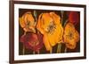 Dazzling Poppies II (Black)-Josefina-Framed Premium Giclee Print