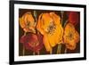 Dazzling Poppies II (Black)-Josefina-Framed Premium Giclee Print