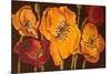 Dazzling Poppies II (Black)-Josefina-Mounted Premium Giclee Print