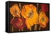 Dazzling Poppies II (Black)-Josefina-Framed Stretched Canvas