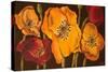 Dazzling Poppies II (Black)-Josefina-Stretched Canvas