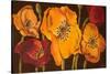 Dazzling Poppies II (Black)-Josefina-Stretched Canvas