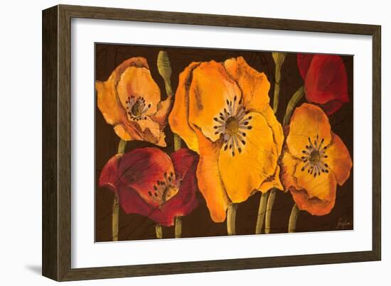 Dazzling Poppies II (Black)-Josefina-Framed Art Print