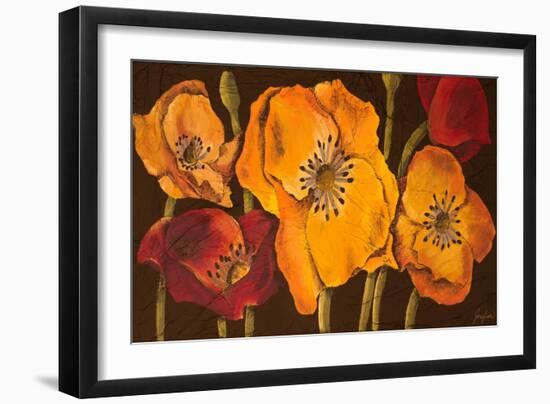 Dazzling Poppies II (Black)-Josefina-Framed Art Print