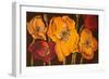 Dazzling Poppies II (Black)-Josefina-Framed Art Print