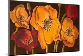 Dazzling Poppies II (Black)-Josefina-Mounted Art Print