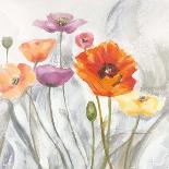Breezy Poppies 2-DB Studios-Framed Stretched Canvas