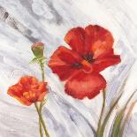 Breezy Poppies 2-DB Studios-Stretched Canvas