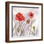 Brown Frame