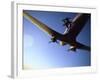 Dc-3 Airplane and Skydivers Zephyrhills, Florida, USA-null-Framed Photographic Print