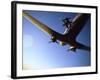 Dc-3 Airplane and Skydivers Zephyrhills, Florida, USA-null-Framed Photographic Print