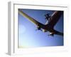 Dc-3 Airplane and Skydivers Zephyrhills, Florida, USA-null-Framed Photographic Print