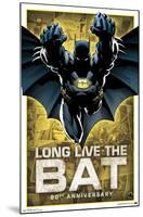 DC Comics - Batman - 80th Anniversary-Trends International-Mounted Poster