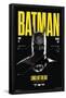 DC Comics Batman: 85th Anniversary - Long Live The Bat (Batman)-Trends International-Framed Poster