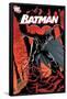 DC Comics Batman - Bats Cover-Trends International-Framed Poster