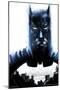 DC Comics - Batman - City-Trends International-Mounted Poster