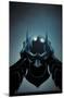 DC Comics - Batman - Cowl-Trends International-Mounted Poster