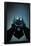 DC Comics - Batman - Cowl-Trends International-Framed Poster