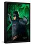 DC Comics - Batman - Fear-Trends International-Framed Poster