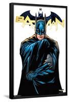 DC Comics - Batman Feature Series-Trends International-Framed Poster