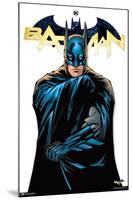 DC Comics - Batman Feature Series-Trends International-Mounted Poster