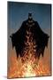 DC Comics Batman - Fire-Trends International-Mounted Poster