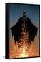 DC Comics Batman - Fire-Trends International-Framed Stretched Canvas