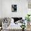 DC Comics Batman - Kissing Catwoman-Trends International-Framed Stretched Canvas displayed on a wall