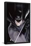 DC Comics - Batman - Portrait-Trends International-Framed Poster