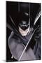 DC Comics - Batman - Portrait-Trends International-Mounted Poster