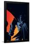 DC Comics Batman - Shadows and Orange-Trends International-Framed Poster