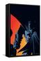 DC Comics Batman - Shadows and Orange-Trends International-Framed Stretched Canvas