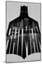 DC Comics - Batman - Text-Trends International-Mounted Poster