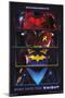 DC Comics Gotham Knights - Chest Emblems-Trends International-Mounted Poster