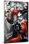 DC Comics - Harley Quinn - The Bomb-Trends International-Mounted Poster