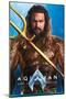 DC Comics Movie Aquaman and the Lost Kingdom - Aquaman-Trends International-Mounted Poster