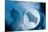 DC Comics Movie - Batman v Superman - Signal-Trends International-Mounted Poster