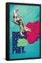 DC Comics Movie - Birds Of Prey - Heart-Trends International-Framed Poster