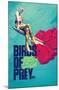 DC Comics Movie - Birds Of Prey - Heart-Trends International-Mounted Poster