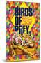 DC Comics Movie - Birds Of Prey - Hyena-Trends International-Mounted Poster