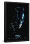 DC Comics Movie - The Dark Knight - Batman with Batarang-Trends International-Framed Poster