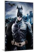 DC Comics Movie - The Dark Knight Rises - Batman - The Caped Crusader-Trends International-Mounted Poster