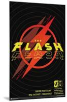 DC Comics Movie The Flash - Saving The Future & The Past-Trends International-Mounted Poster