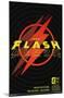 DC Comics Movie The Flash - Saving The Future & The Past-Trends International-Mounted Poster