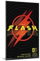 DC Comics Movie The Flash - Saving The Future & The Past-Trends International-Mounted Poster