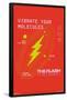 DC Comics Movie The Flash - Vibrate Your Molecules-Trends International-Framed Poster